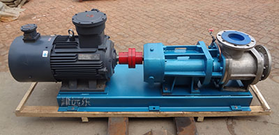 雙螺杆泵