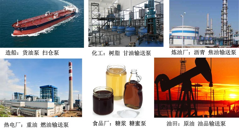 W不鏽（xiù）鋼雙（shuāng）螺杆泵產品應用