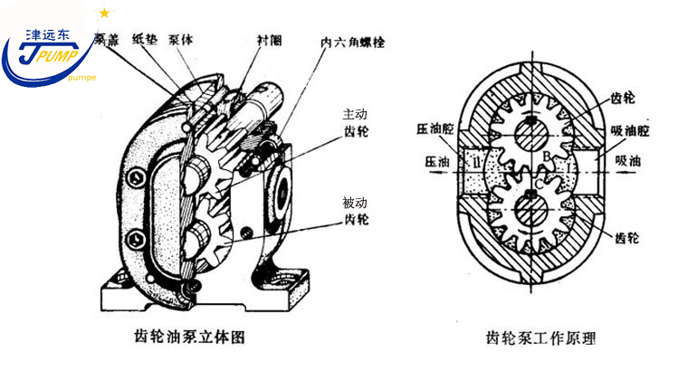 2CG硬齒麵渣油泵剖析圖 2CG硬(yìng)齒麵渣油(yóu)泵(bèng)剖析圖