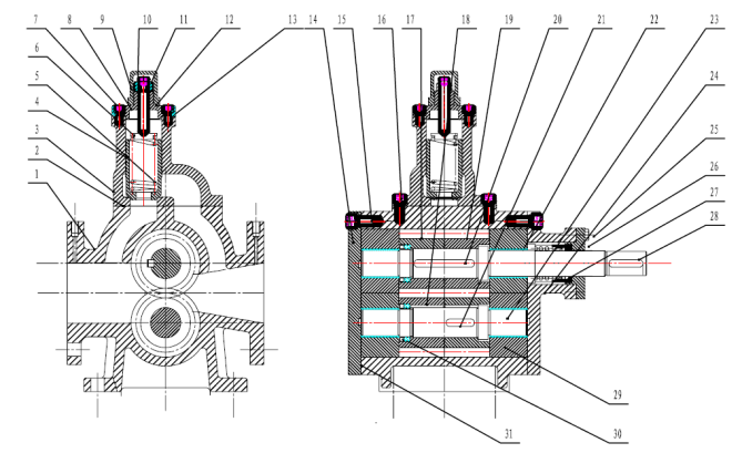 圓弧齒輪泵（bèng）內部圖