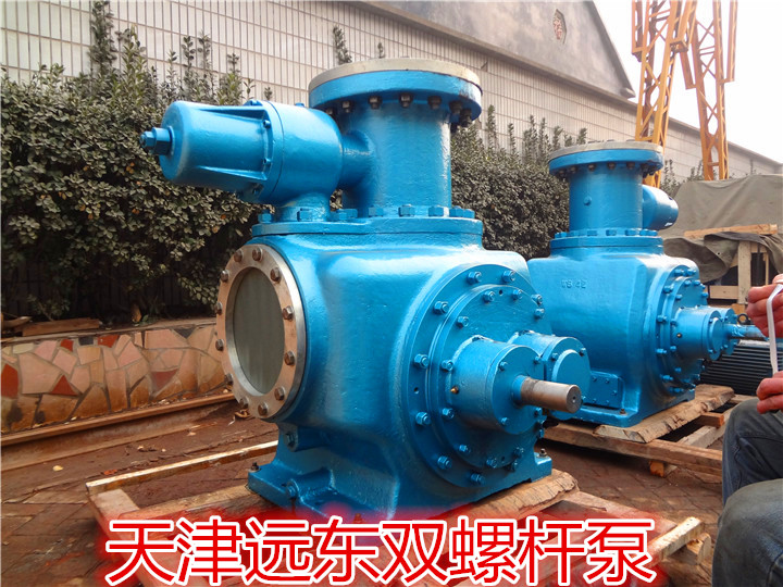 天津遠東雙螺杆（gǎn）泵