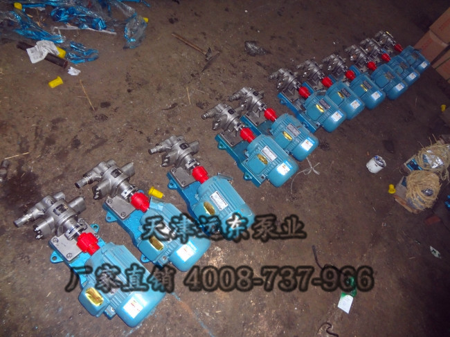 不鏽鋼齒(chǐ)輪泵 不鏽鋼齒(chǐ)輪泵