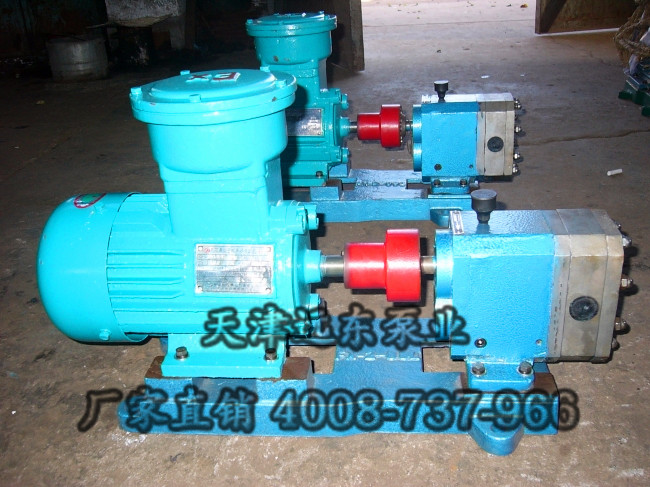 不鏽鋼齒輪泵 不鏽(xiù)鋼齒輪泵