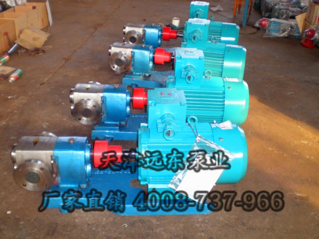 不鏽鋼齒輪泵 不鏽鋼齒(chǐ)輪泵