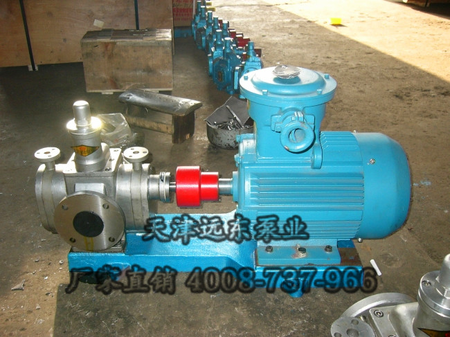 不鏽鋼(gāng)齒輪泵 不鏽鋼齒輪泵