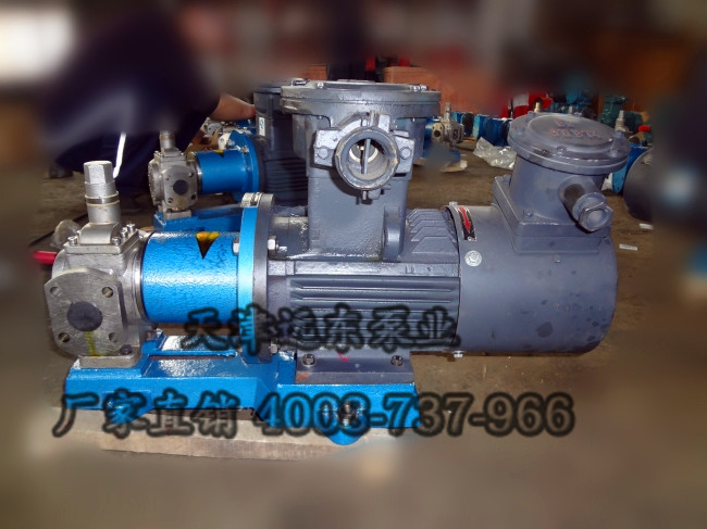 磁力不鏽鋼齒輪泵 磁力不鏽鋼齒輪泵