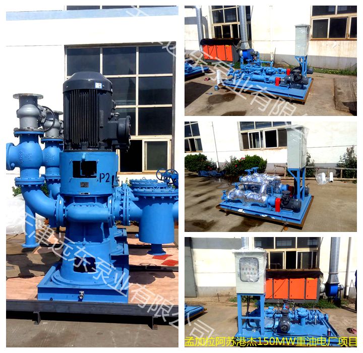 電廠項目單螺杆泵