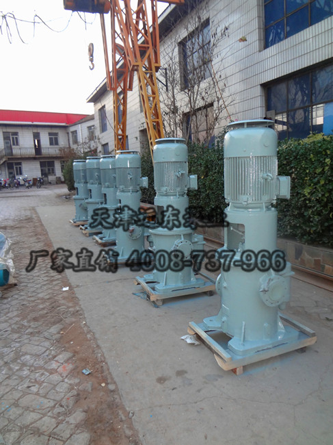 三螺（luó）杆泵