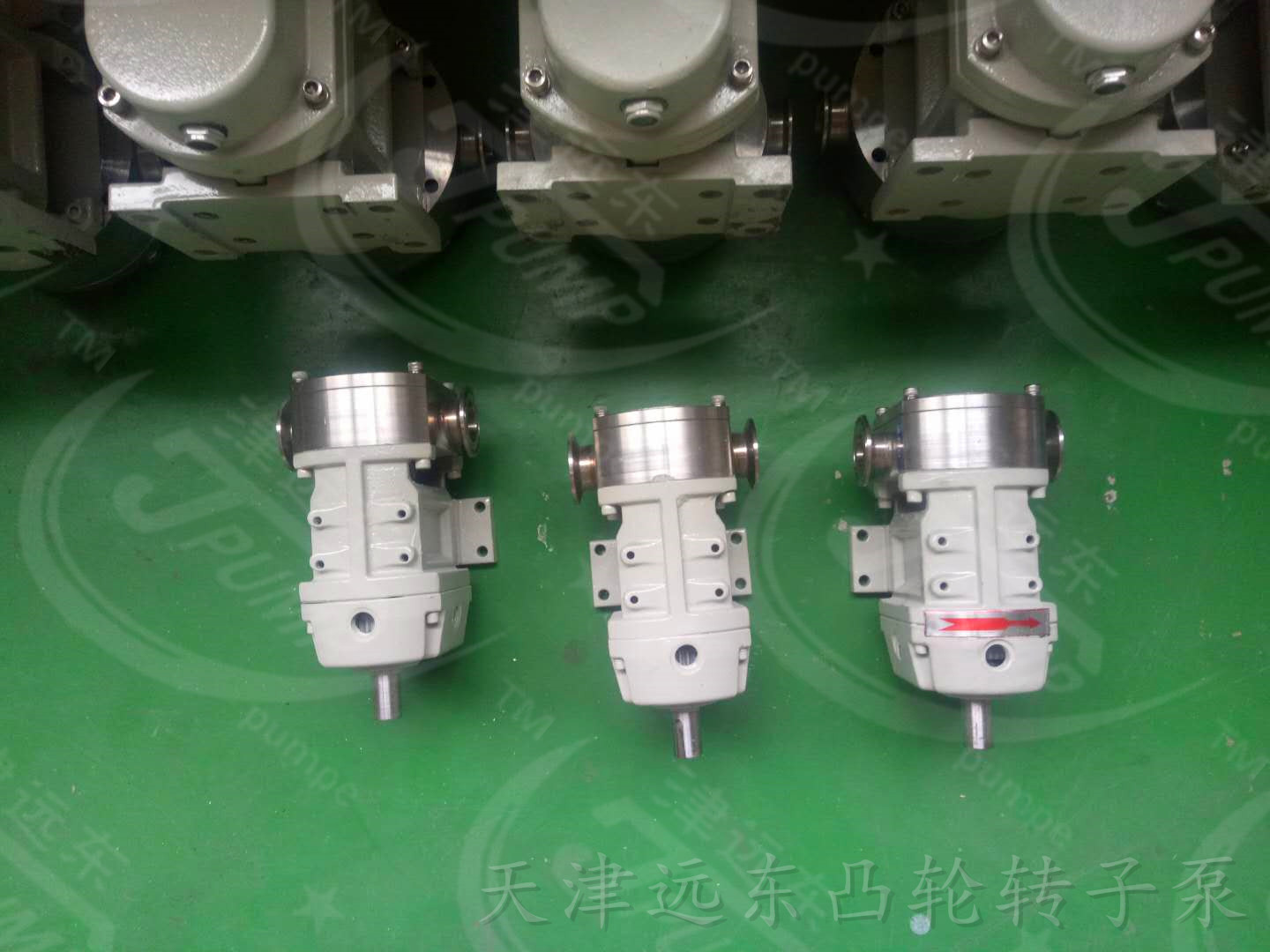 凸輪轉（zhuǎn）子泵